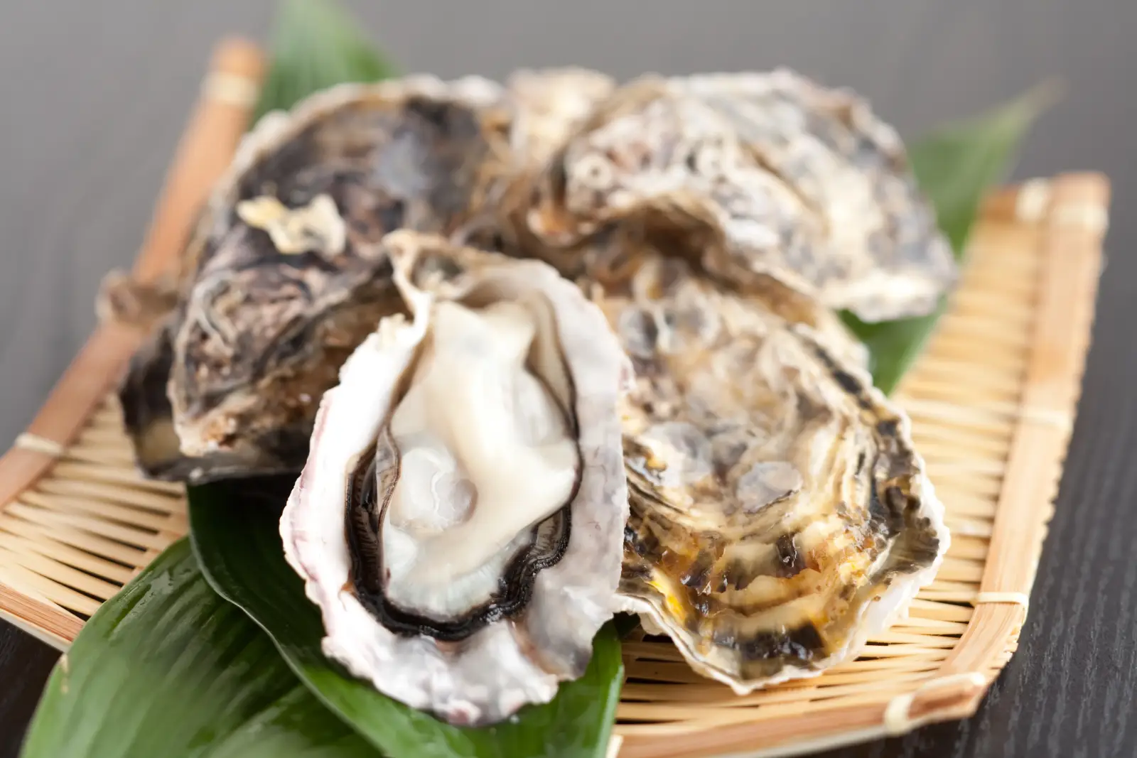 炭火の網で焼き上げる牡蠣と海鮮焼き